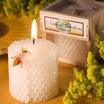 Children's Birthday Party Supp - Soy Wax 评论和价格